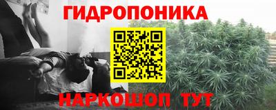 ALPHA PVP Новозыбков