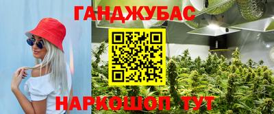 ALPHA PVP Новозыбков