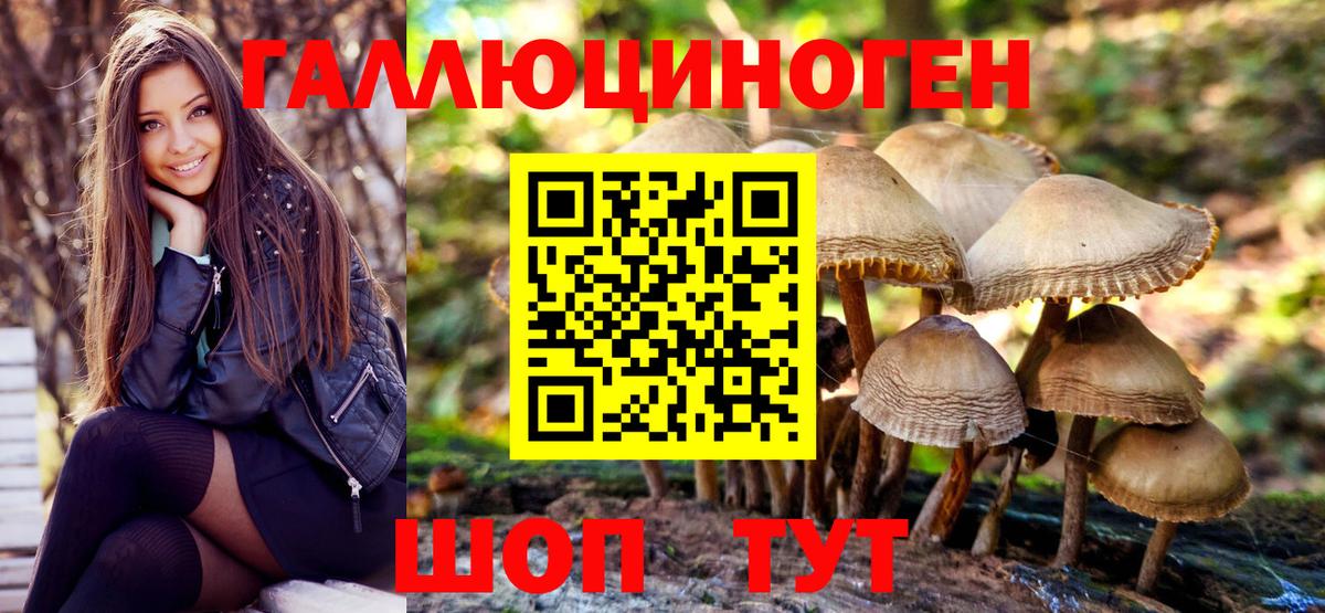 Стрежевой  Псилоцибиновые грибы MAGIC MUSHROOMS  Вход с VPN 